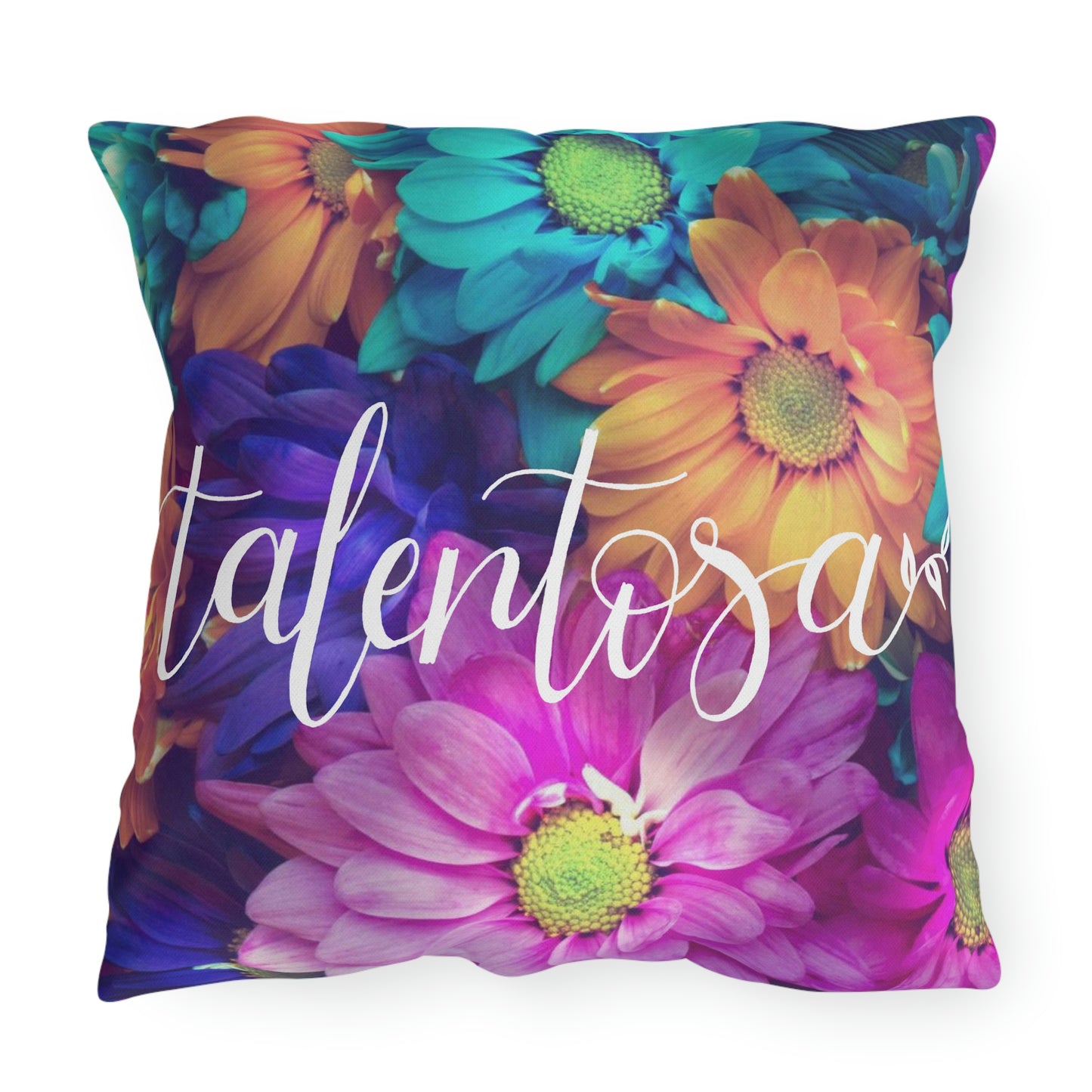 Talentosa p31.17 > Almohada > Outdoor Pillow